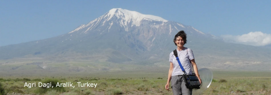 Ararat