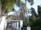 Parc de Montjuïc